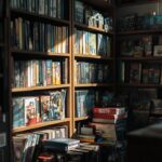 Comment le site French Stream Geek renforce la communauté des fans de culture geek