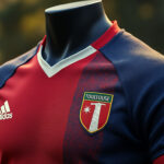 découvrez ce qui rend le maillot de rugby de toulouse si emblématique : design distinctif, couleurs historiques et symboles locaux célébrant la tradition et la fierté du club.