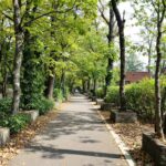 découvrez la nouvelle-calédonie à travers ce guide complet dédié aux amoureux de la nature. explorez ses paysages uniques, sa faune exceptionnelle et vivez une aventure inoubliable.