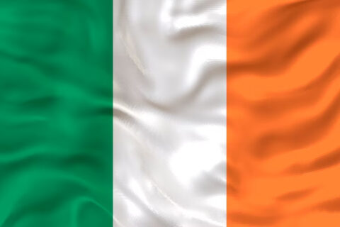 DRAPEAU LEINSTER 45x30cm - PAVILLON IRLANDAIS - IRLANDE 30 x
