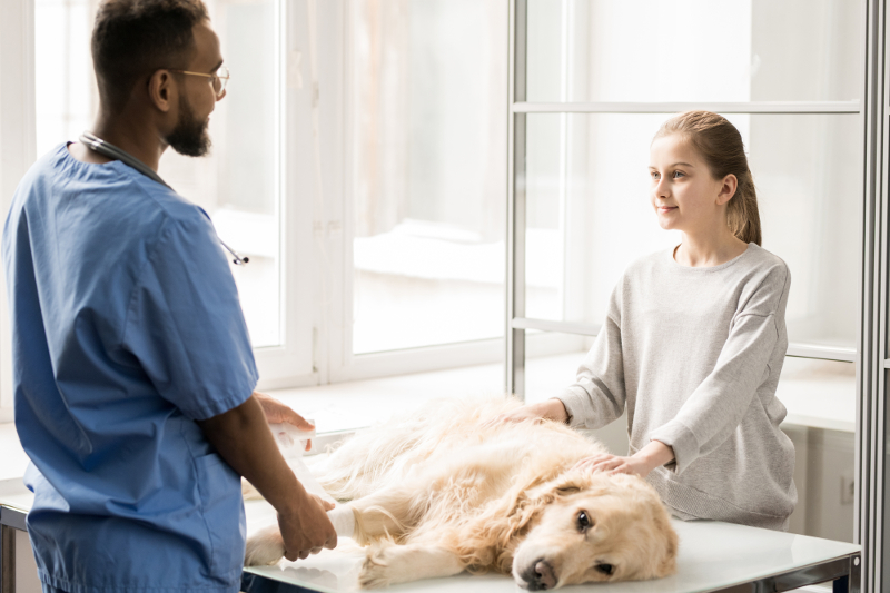 problème respiratoire chien