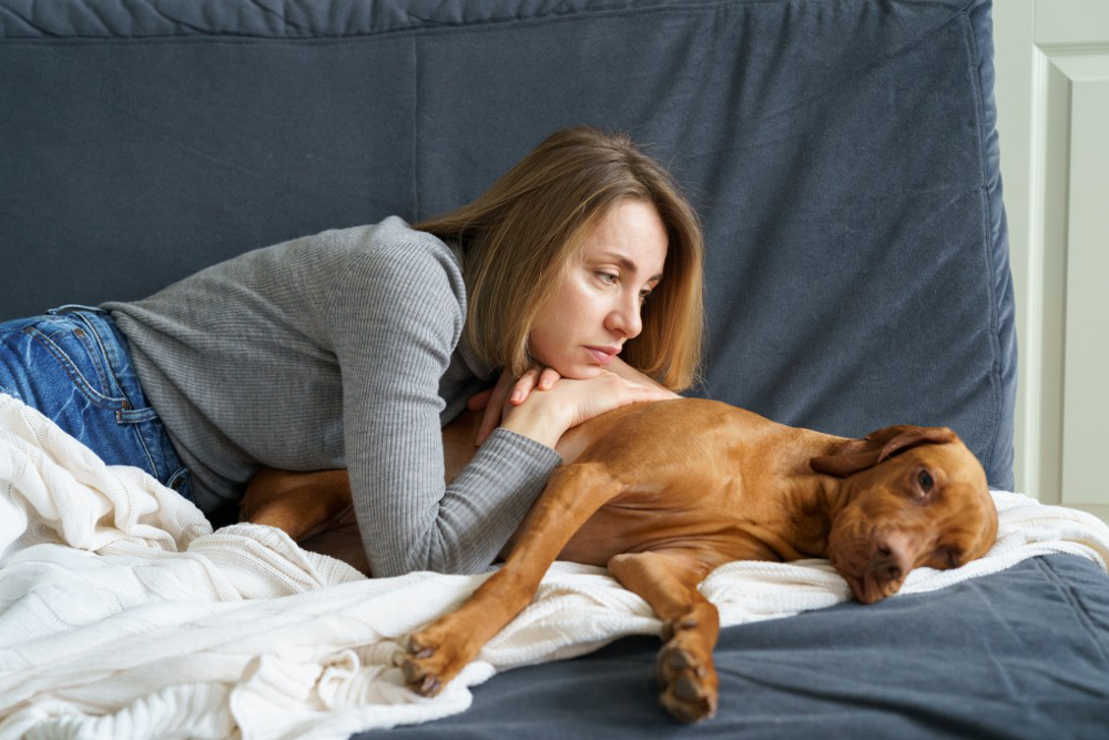 symptômes de la maladie du chien