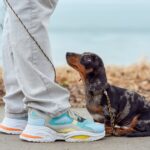 The owner keeps a small marble-colored dachshund puppy